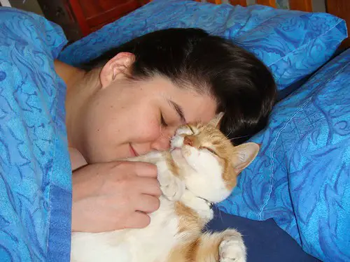 Why Your Cat’s Purr Is Literally Healing You—The Frequency That Repairs Bones