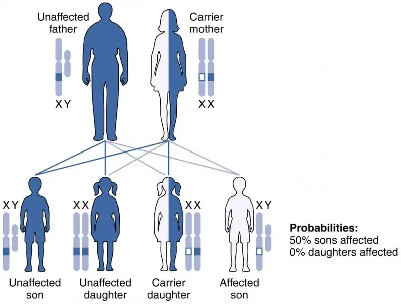 30 Fascinating Insights from Twin Studies: Unraveling the Nature vs. Nurture Debate