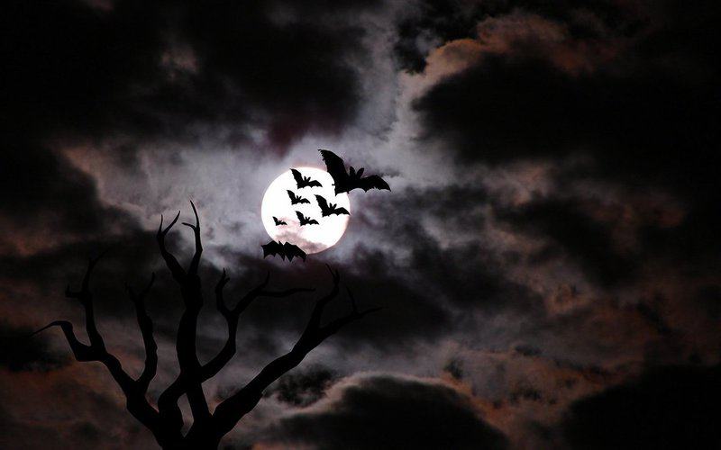 The 23 “Science Facts” Everyone Still Believes That Are Actually Complete Nonsense