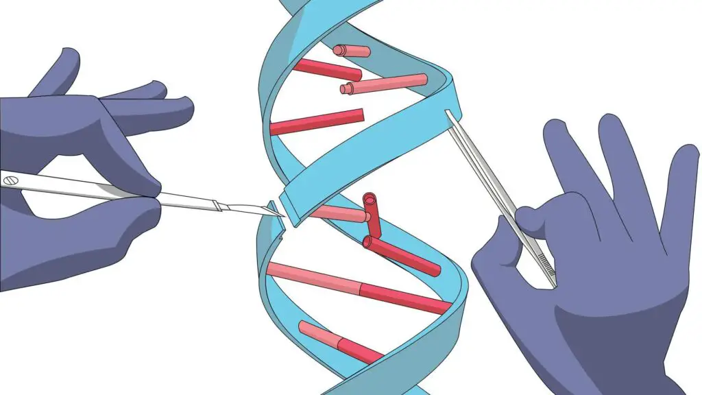 Researchers Discover CRISPR Gene-Editing System in Bacterial Immune Systems