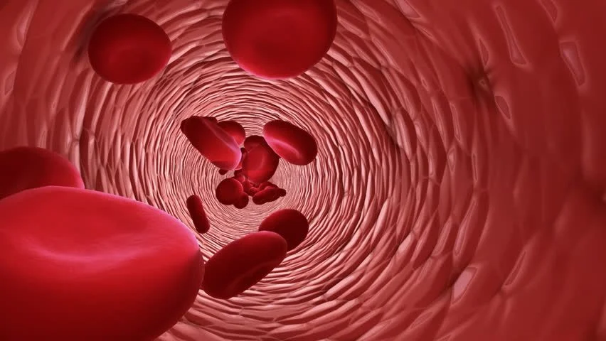 Stanford Team Makes Living Skin Transparent Using Doritos Ingredient