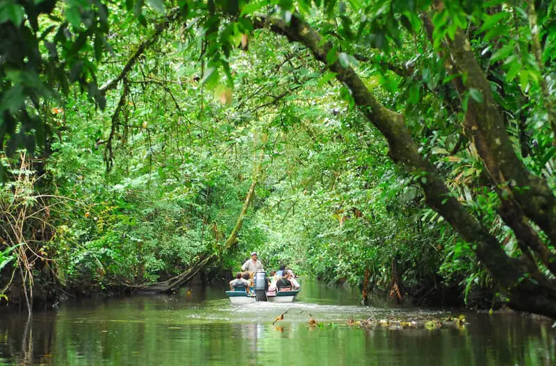 Carbon-Neutral Adventures: How Costa Rica’s Eco-Lodges Are Redefining Responsible Travel