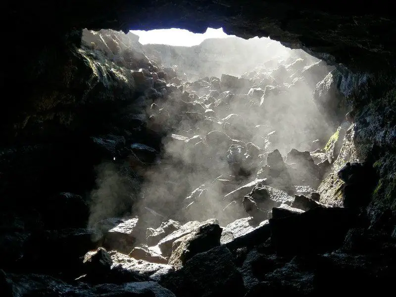 Breaking Ice: Revolutionary Discoveries Reveal Antarctica’s Hidden Biological Treasures