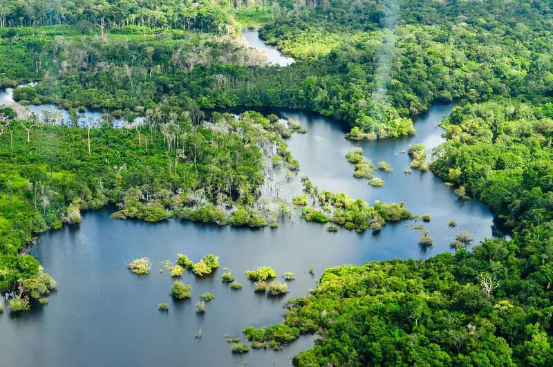 Forest Apocalypse: Why 2025’s Deforestation Crisis Threatens Human Civilization