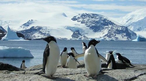 Antarctica Is Bleeding Red—And It’s Not What Climate Scientists Expected