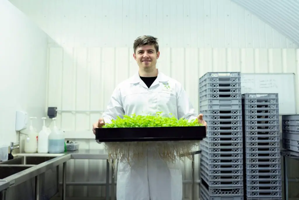 Plants Are Screaming When You Cut Them—We Just Couldn’t Hear It