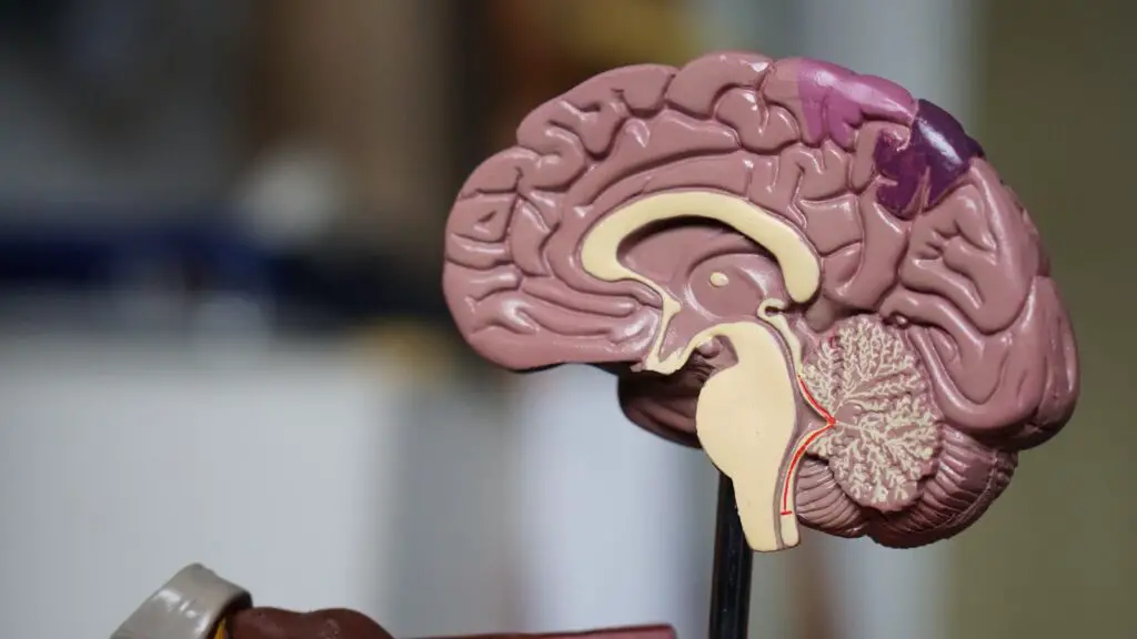 Can Your Footsteps Speak Autism? Scientists Think So.