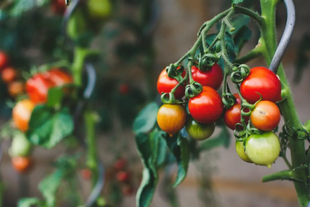 I’m an ER Doctor—These 24 ‘Healthy’ Foods Are Sending My Patients to the Hospital