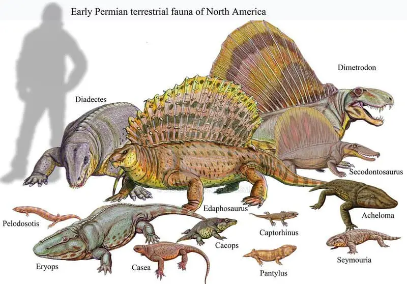 The 289-Million-Year-Old Skin That Rewrites Evolution History