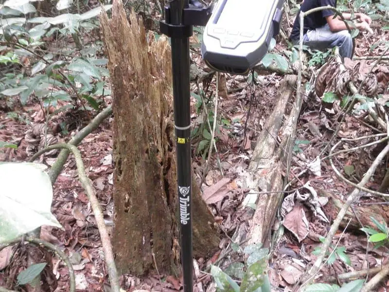 Ancient Amazonians Built 6,000 Connected Platforms – Lost Civilization Found