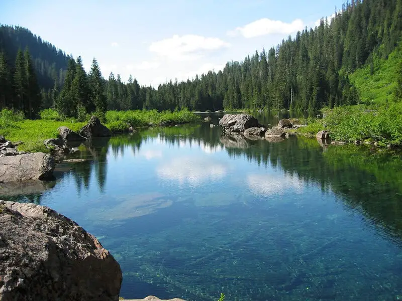 How 600 Fish Species Evolved in the Blink of an Eye