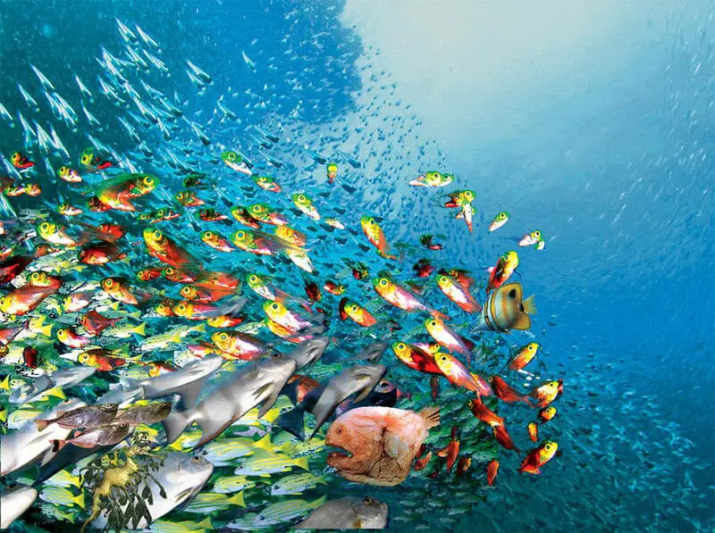 The Ocean Floor Is Moving Sideways at the Speed Your Fingernails Grow