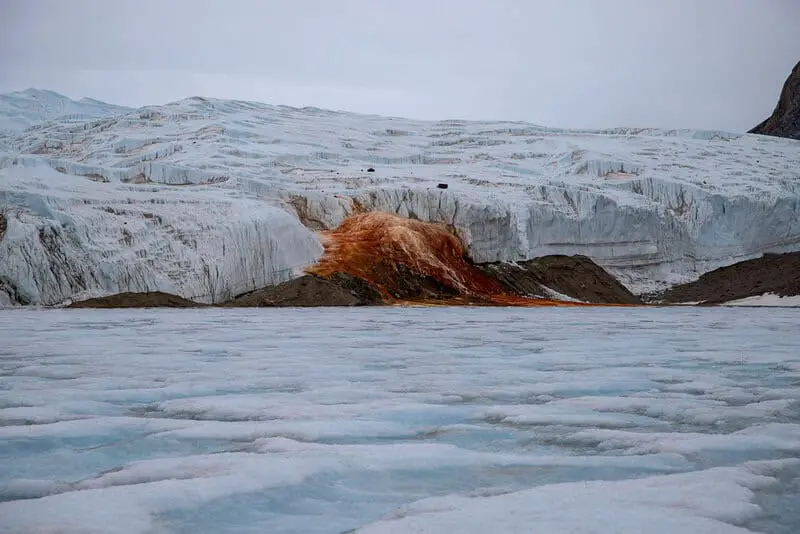 Antarctica Is Bleeding Red—And It’s Not What Climate Scientists Expected