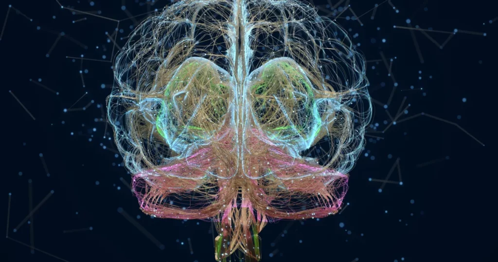 Scientists Map 140,000 Neurons in Fruit Fly Brain – Here’s What It Reveals About Human Memory