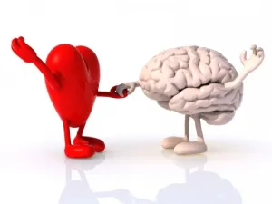 Scientists Discovered a “Second Brain” in Your Heart—And It Remembers Everything