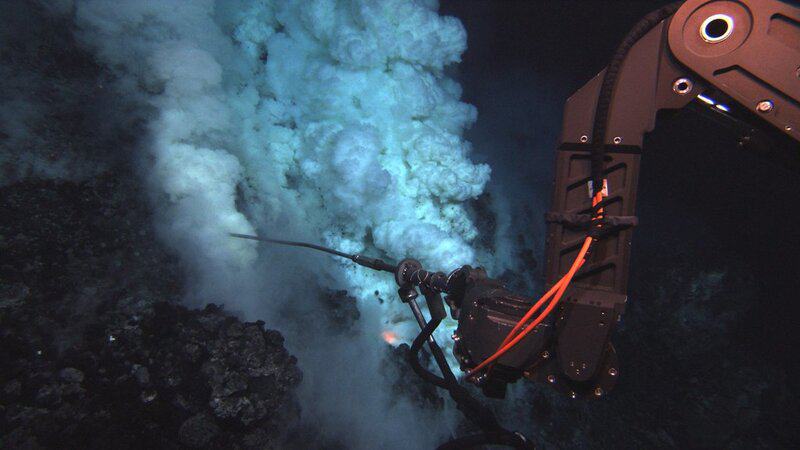 Breaking Ice: Revolutionary Discoveries Reveal Antarctica’s Hidden Biological Treasures