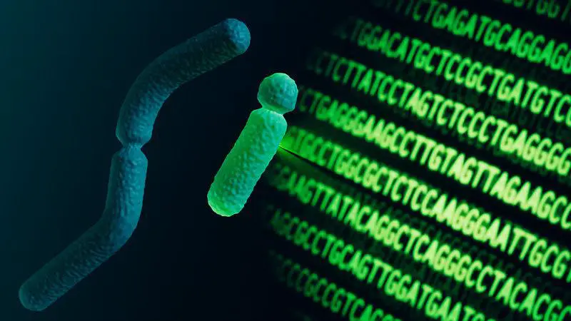 Scientists Decode Complete Human Genome After 20-Year International Project