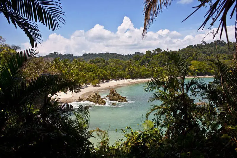 Carbon-Neutral Adventures: How Costa Rica’s Eco-Lodges Are Redefining Responsible Travel