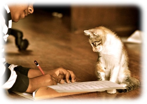 Why Your Cat’s Purr Is Literally Healing You—The Frequency That Repairs Bones