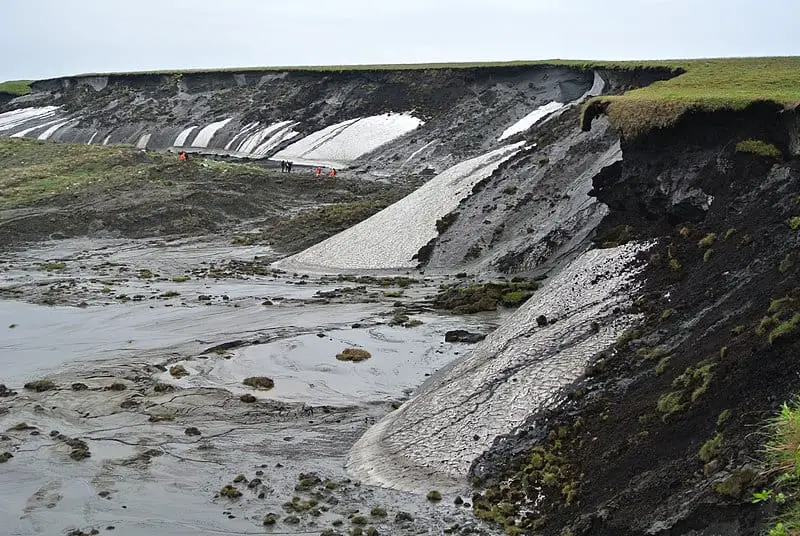 Climate Science Research Reveals Antarctic Greening Signals Rapid Ecosystem Disruption and Climate Tipping Points