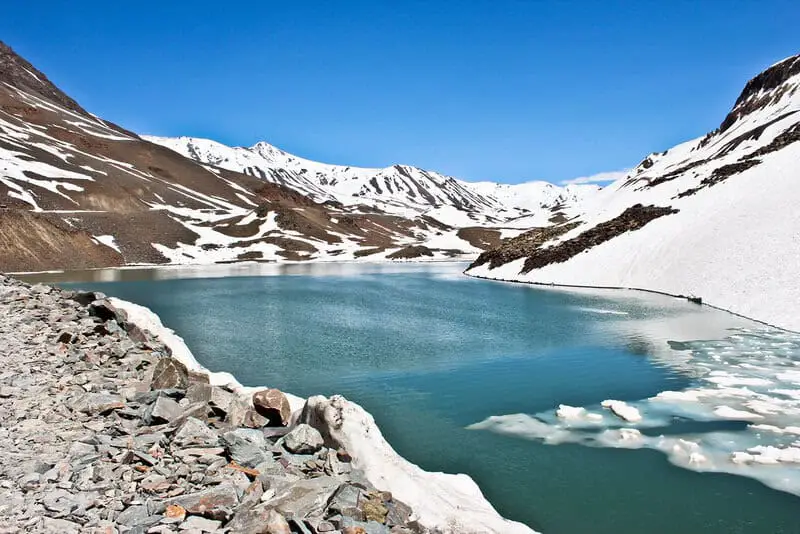 Antarctica Is Growing New Forests—But It’s Not Good News