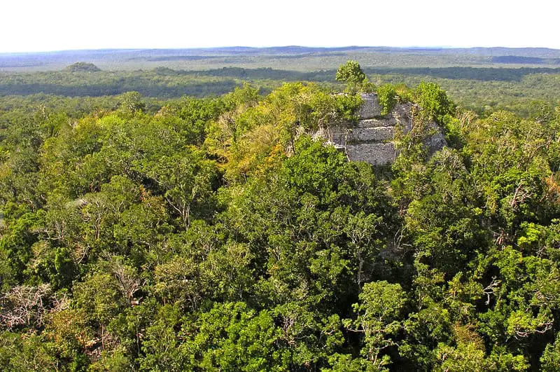 Ancient Amazonians Built 6,000 Connected Platforms – Lost Civilization Found