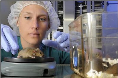 Mice’s Jaw-Dropping Instinct to Save Buddies from the Brink – Nature’s Paramedics?
