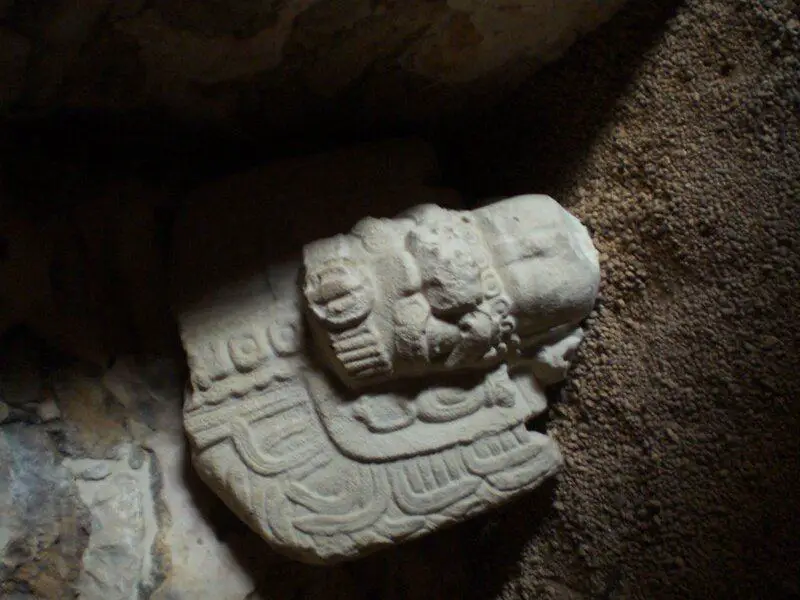 Ancient Amazonians Built 6,000 Connected Platforms – Lost Civilization Found
