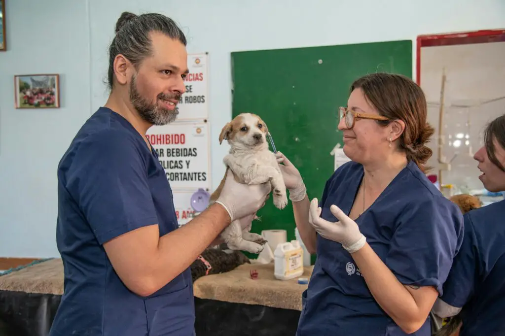 The Volunteer Work That Actually Extends Your Lifespan (Research Proves It)