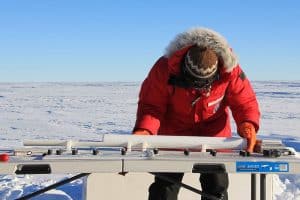 Antarctica Is Growing New Forests—But It’s Not Good News