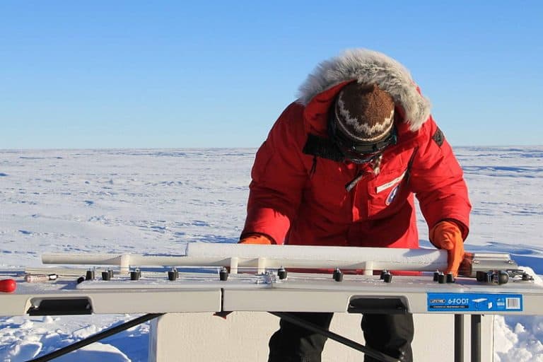 Antarctica Is Bleeding Red—And It’s Not What Climate Scientists Expected