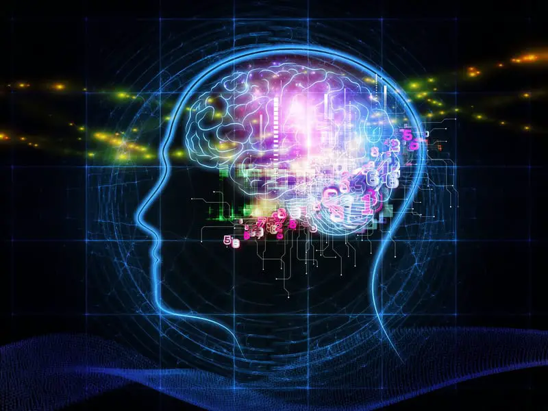 The Protein That Lets Memories Last Forever – KIBRA’s Role in Long-Term Memory