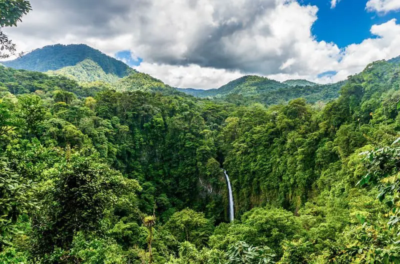 Forest Apocalypse: Why 2025’s Deforestation Crisis Threatens Human Civilization