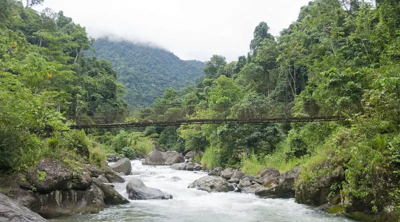 Carbon-Neutral Adventures: How Costa Rica’s Eco-Lodges Are Redefining Responsible Travel