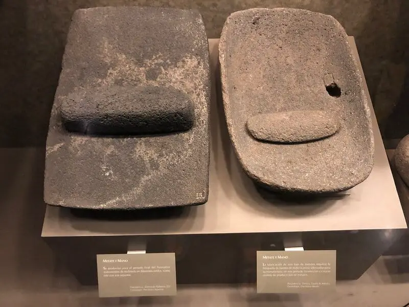 Ancient Amazonians Built 6,000 Connected Platforms – Lost Civilization Found