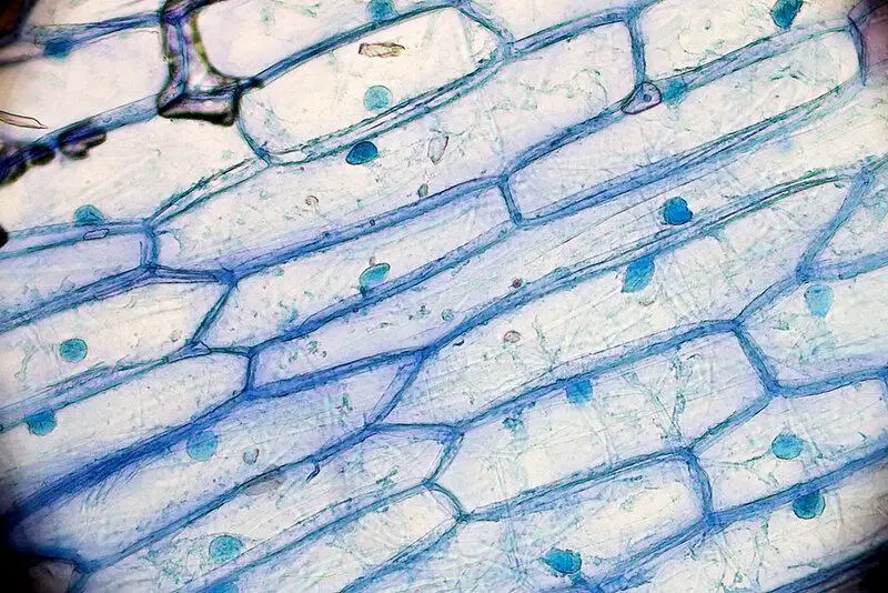 Every Atom in Your Body Is Billions of Years Old—Except for One Element