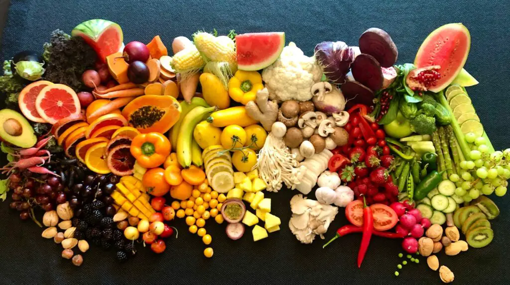 The Gut Health Revolution: How Probiotics Work Differently in Younger and Older Bodies