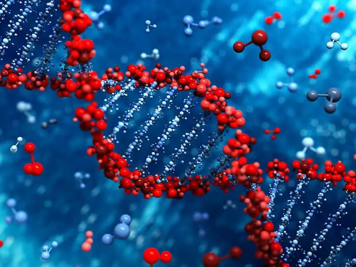 The Protein That Lets Memories Last Forever – KIBRA’s Role in Long-Term Memory