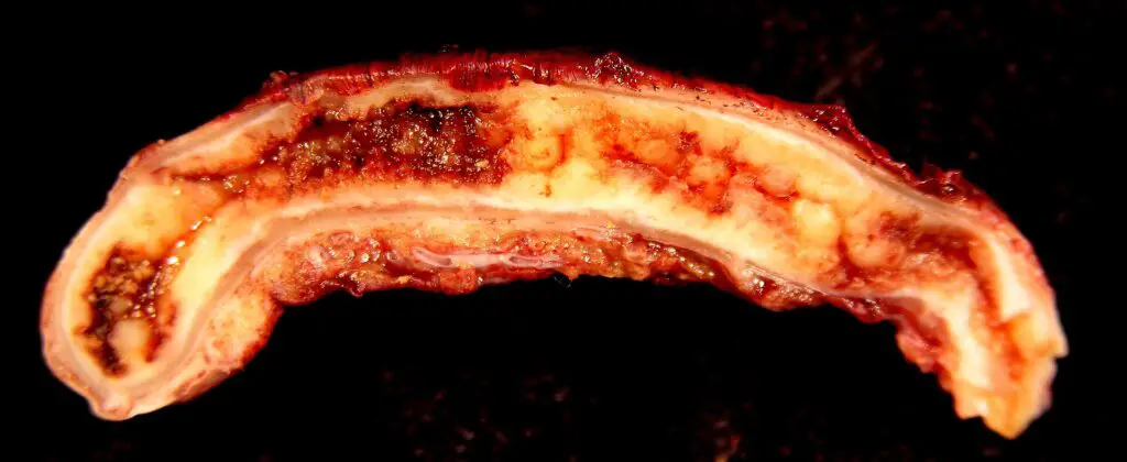 15 Facts About the Unique Human Body Part that Evolution Cannot Explain