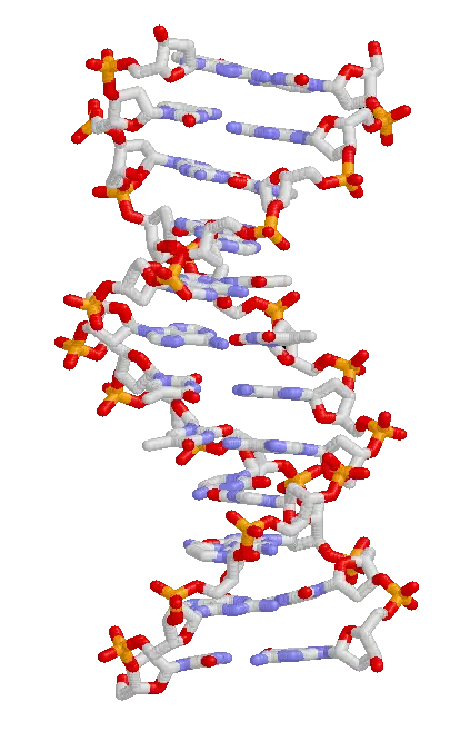 15 Steps from Non-Living to Living: How Life May Have Evolved