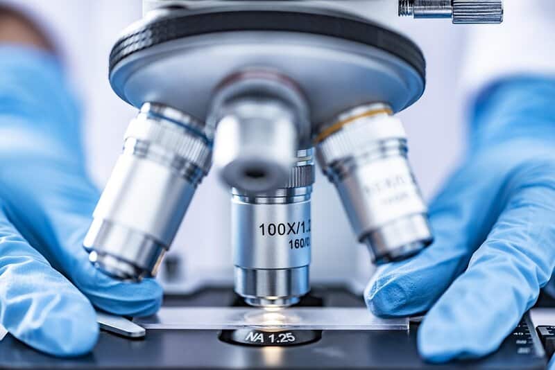 15 New Ways Scientists Are Reversing Aging in the Lab