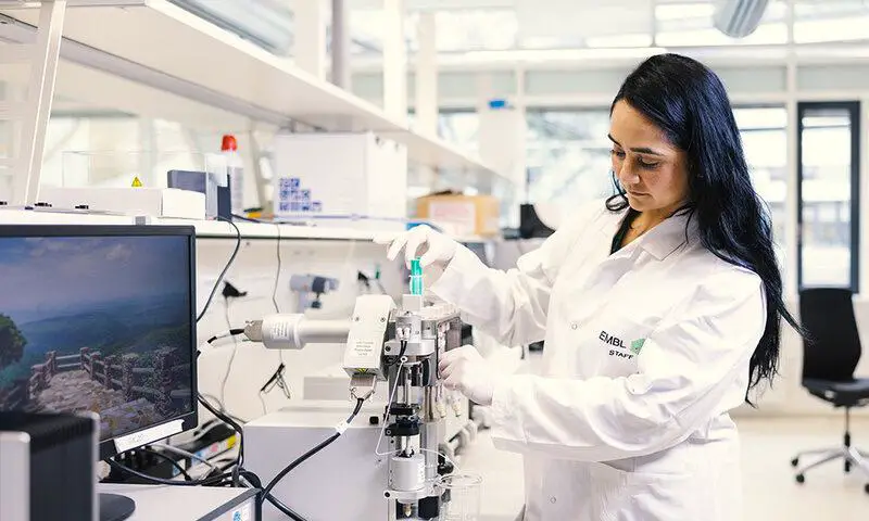Memory Chips Made of DNA Can Store Data for 1,000 Years