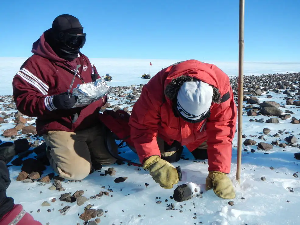 Breaking Ice: Revolutionary Discoveries Reveal Antarctica’s Hidden Biological Treasures