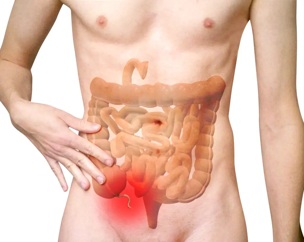 15 Facts About the Unique Human Body Part that Evolution Cannot Explain