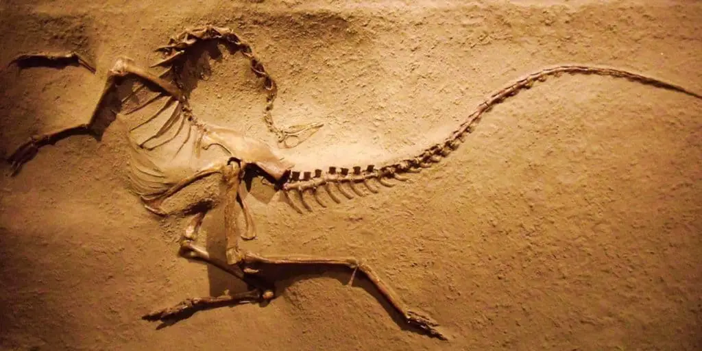 20 Ways We Know God Was Not The Origin Of All Life