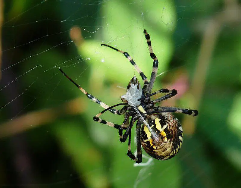 15 Strange but True Discoveries From Cutting-Edge Research Labs