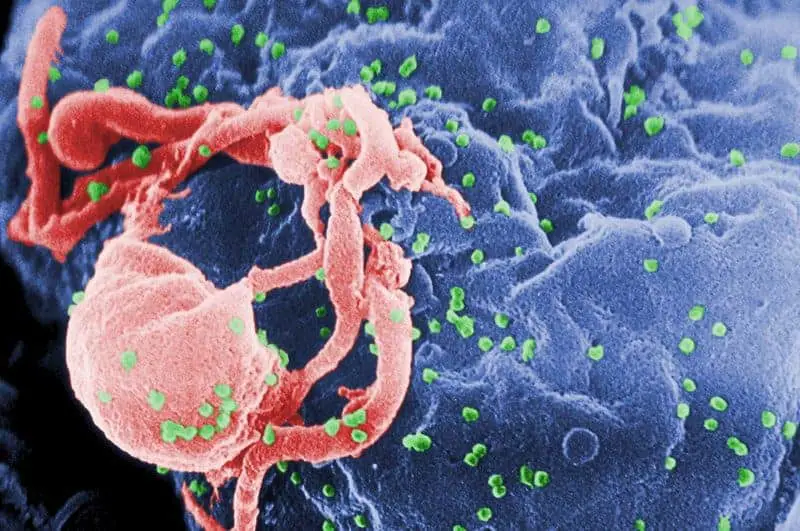 15 Scientific Ideas That Were Censored by Authority