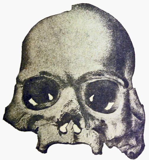 15 Famous Scientific Discoveries That Turned Out to Be Hoaxes