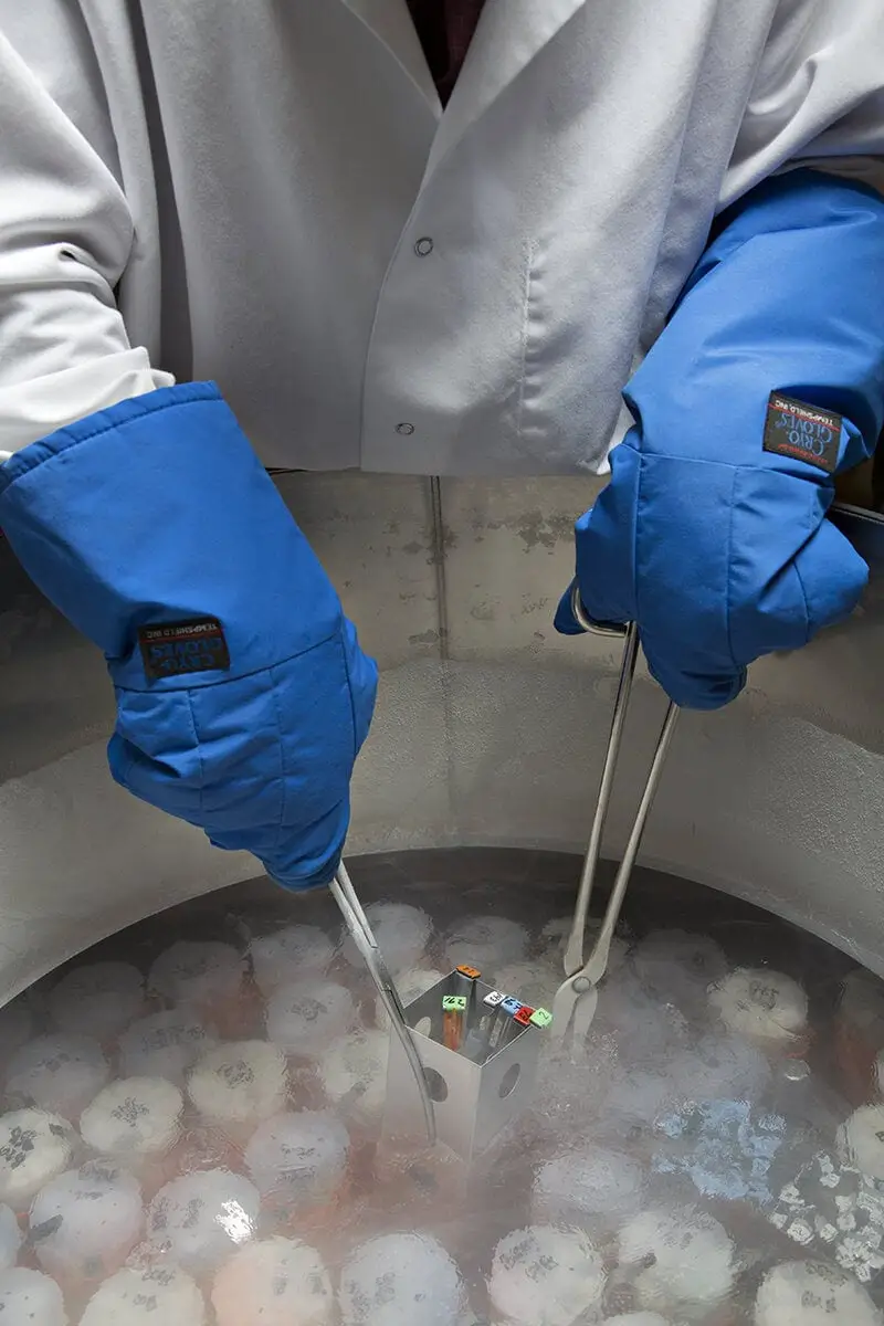 15 Ways Scientists Are Trying to Cheat Death