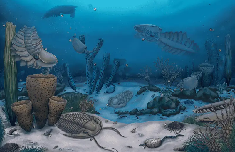 15 Steps from Non-Living to Living: How Life May Have Evolved